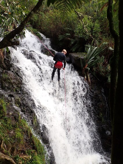 Picture 3 for Activity Raglan: Karioi Canyoning
