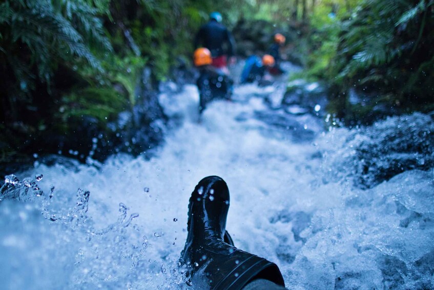 Picture 4 for Activity Raglan: Karioi Canyoning