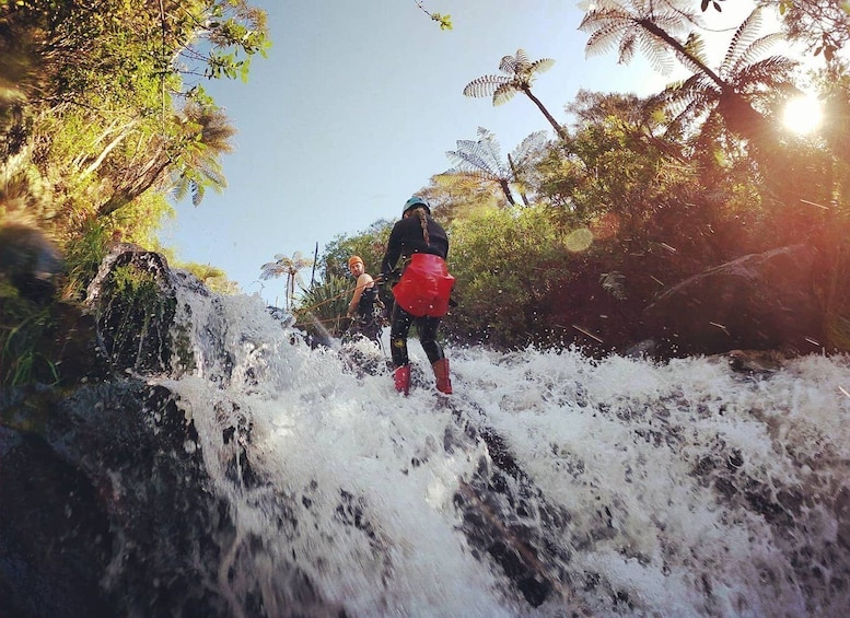 Picture 3 for Activity Raglan: Karioi Canyoning