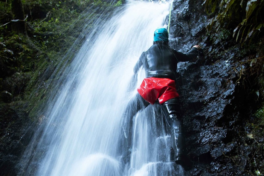 Picture 5 for Activity Raglan: Karioi Canyoning