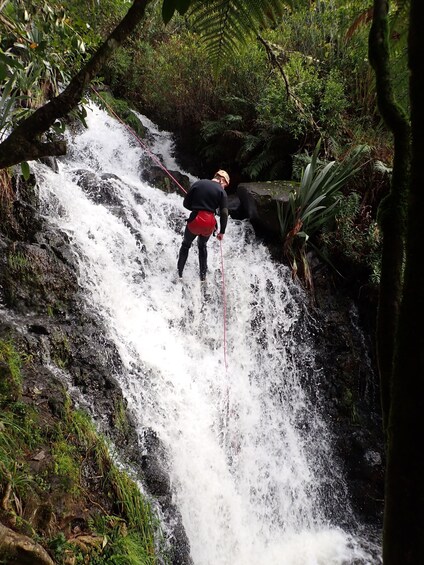 Picture 2 for Activity Raglan: Karioi Canyoning