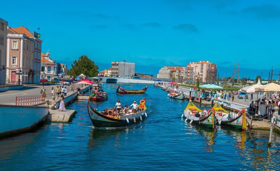 Picture 10 for Activity Aveiro: Half-Day Tour from Porto with Cruise