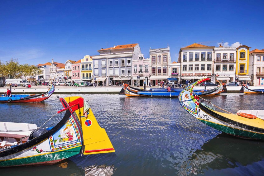 Picture 6 for Activity Aveiro: Half-Day Tour from Porto with Cruise