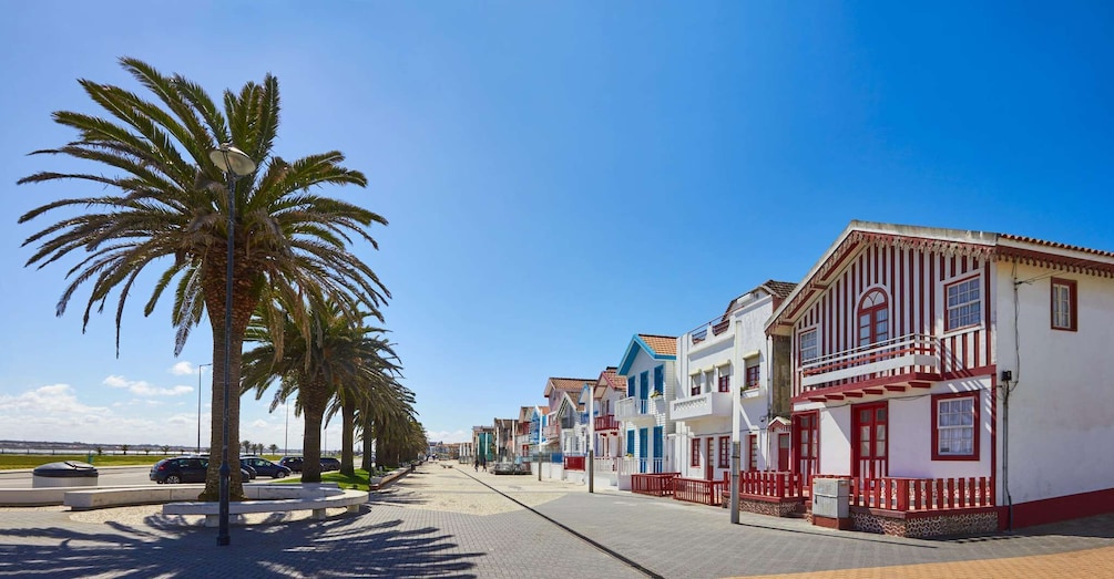 Picture 5 for Activity Aveiro: Half-Day Tour from Porto with Cruise