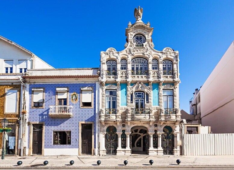 Picture 10 for Activity Aveiro: Half-Day Tour from Porto with Cruise