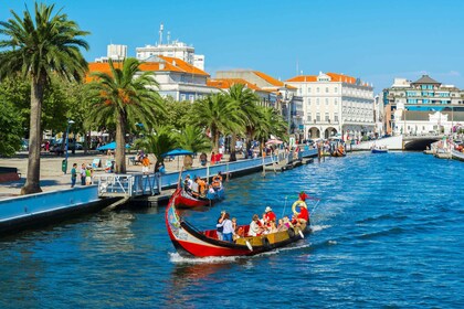 Aveiro : Visite d’une demi-journée de Porto avec croisière