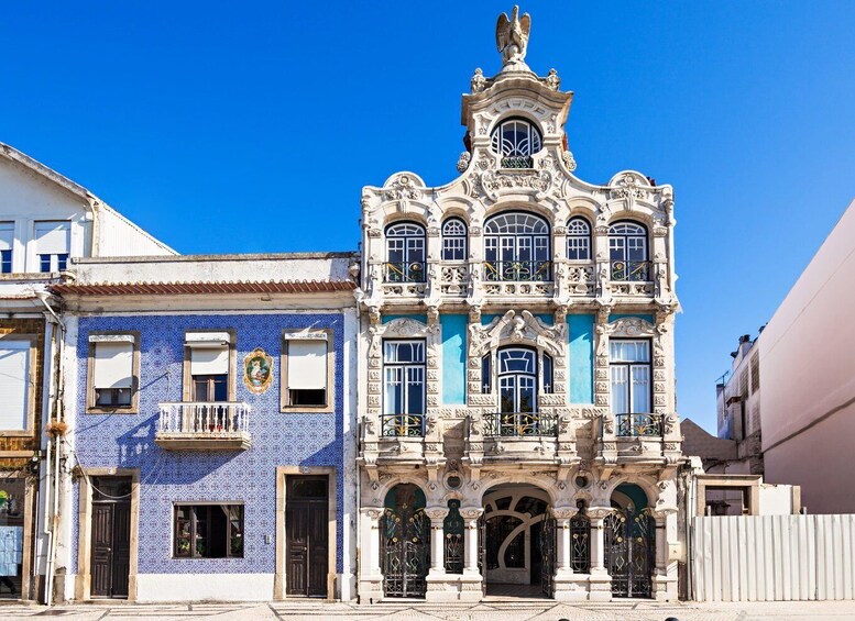 Picture 10 for Activity Aveiro: Half-Day Tour from Porto with Cruise