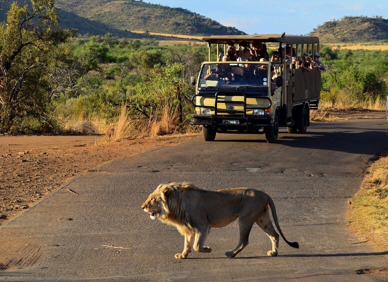 Picture 5 for Activity Pilanesberg National Park/Sun City Hot Air Balloon Safari