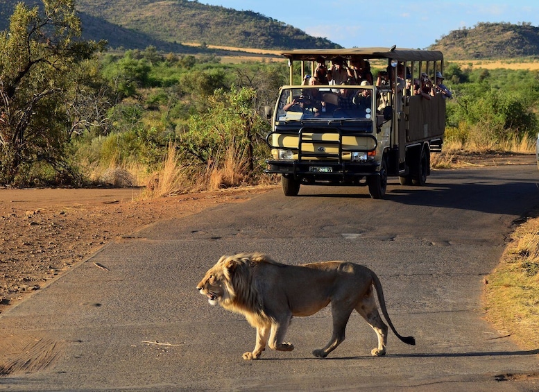 Picture 5 for Activity Pilanesberg National Park/Sun City Hot Air Balloon Safari