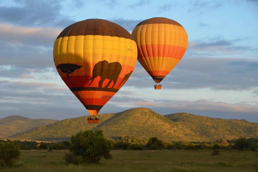 Picture 2 for Activity Pilanesberg National Park/Sun City Hot Air Balloon Safari