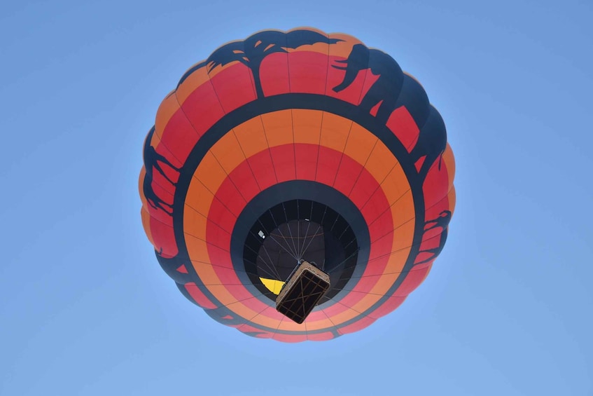 Picture 3 for Activity Pilanesberg National Park/Sun City Hot Air Balloon Safari