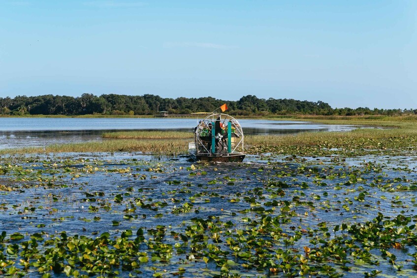 Picture 3 for Activity Kissimmee: 1-Hour Airboat Everglades Adventure Tour