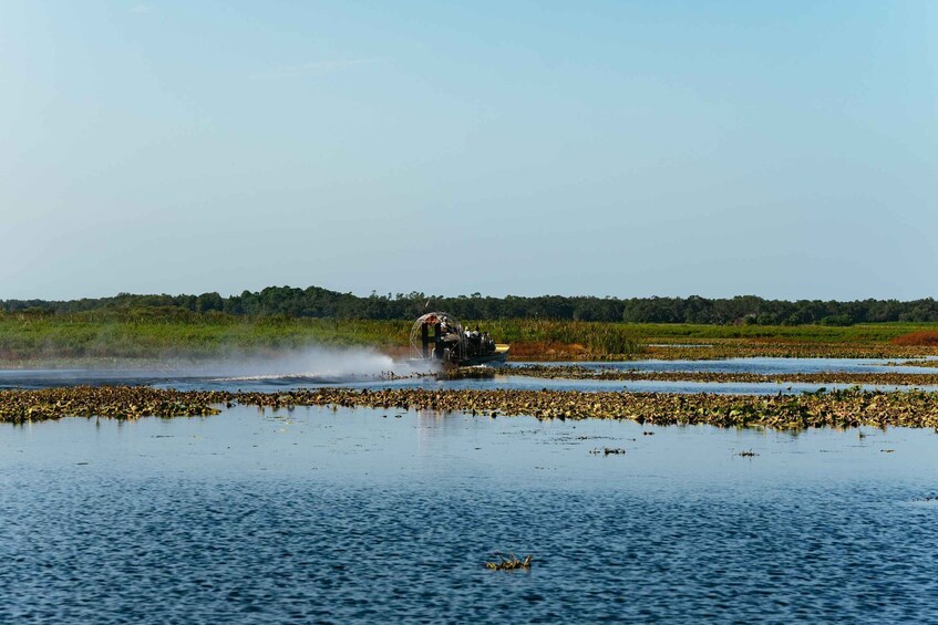 Picture 11 for Activity Kissimmee: 1-Hour Airboat Everglades Adventure Tour
