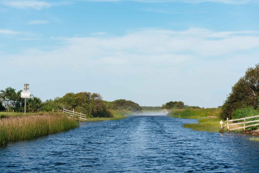 Picture 6 for Activity Kissimmee: 1-Hour Airboat Everglades Adventure Tour