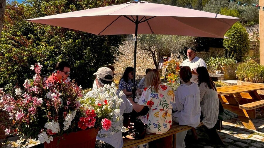 Aix-en-Provence: Half Day Wine Tour in Coteaux d'Aix