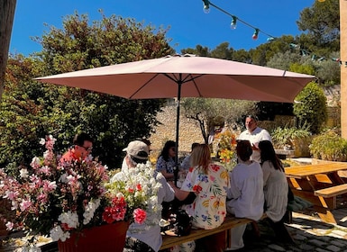 Aix-en-Provence: Halvdags vintur i Coteaux d'Aix
