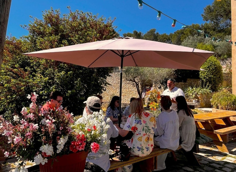 Aix-en-Provence: Half Day Wine Tour in Coteaux d'Aix