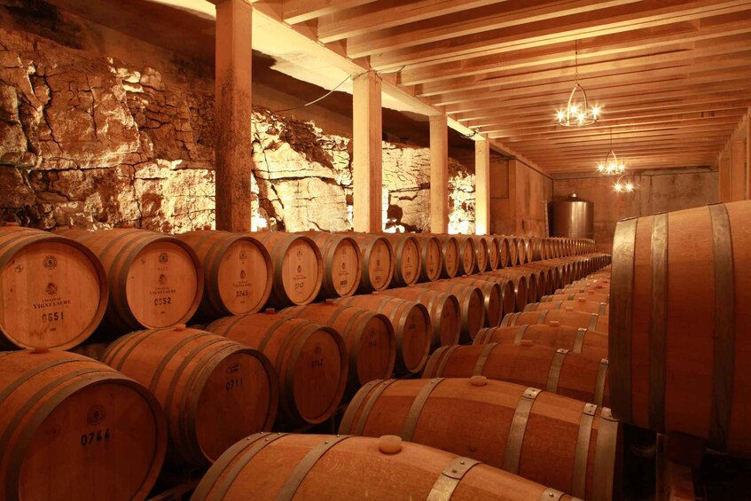 Aix-en-Provence: Half Day Wine Tour in Coteaux d'Aix