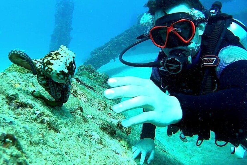 Discover Scuba Diving for Beginners in San Juan