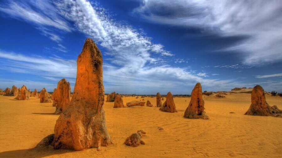 Pinnacles Desert, Yanchep and Swan Valley with Lunch