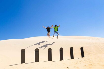 Port Stephens : Planche à voile illimitée et excursion dans les dunes de sa...