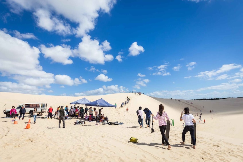 Picture 2 for Activity Port Stephens: Unlimited Sandboarding & 4WD Sand Dune Tour