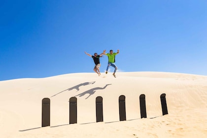 Port Stephens : Planche à voile illimitée et excursion dans les dunes de sa...