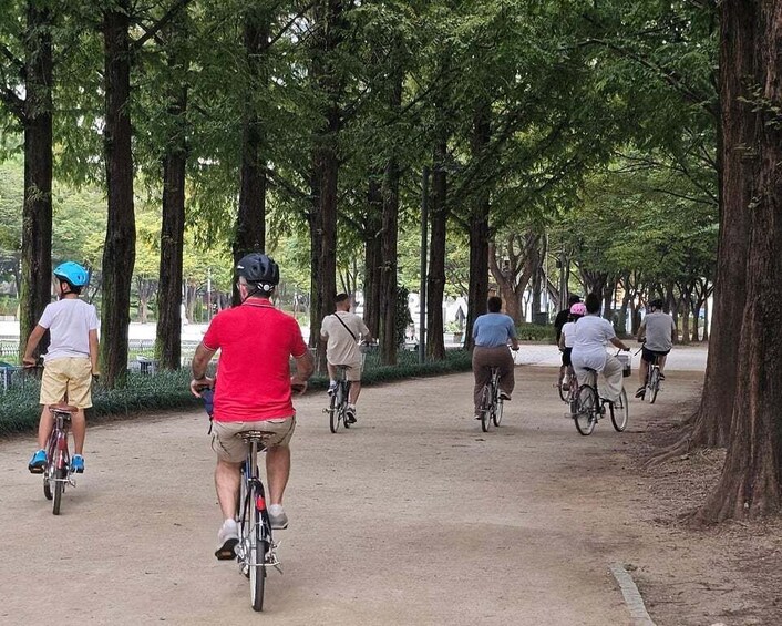 Picture 8 for Activity Seoul: Urban Nature Bike Tour along Han River