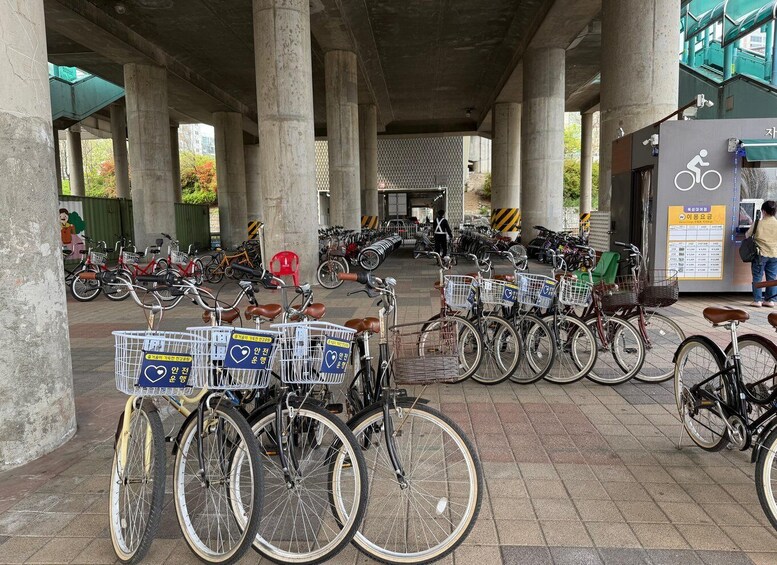 Picture 10 for Activity Seoul: Urban Nature Bike Tour along Han River