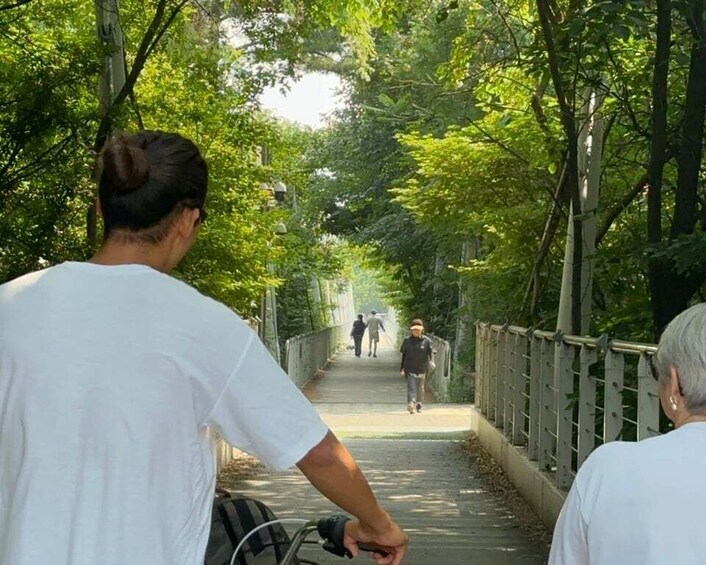 Picture 7 for Activity Seoul: Urban Nature Bike Tour along Han River