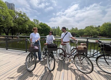 Soul: Han River Urban Nature Bike Tour