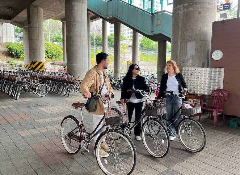 Picture 6 for Activity Seoul: Han River Urban Nature Bike Tour