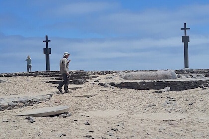 Cape Cross Seal colony Tour