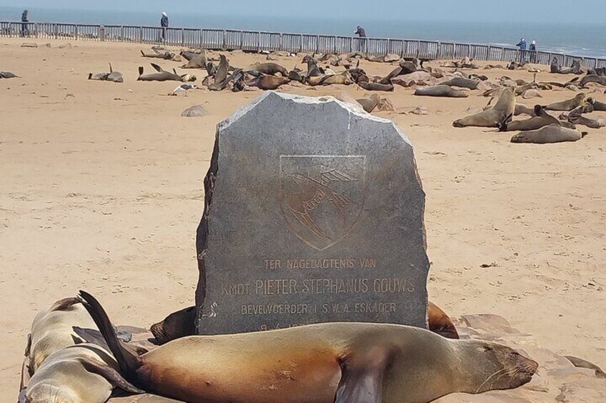 we get right close to seals