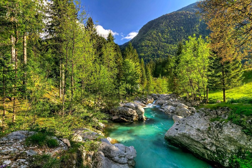 Picture 1 for Activity Bled: Soča River Experience