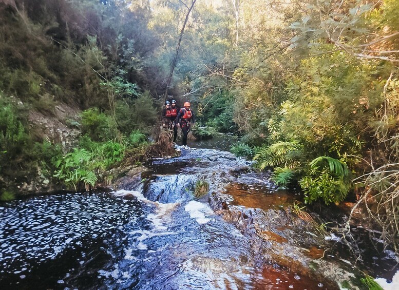 Picture 3 for Activity Plettenberg Bay: Canyoning Trip