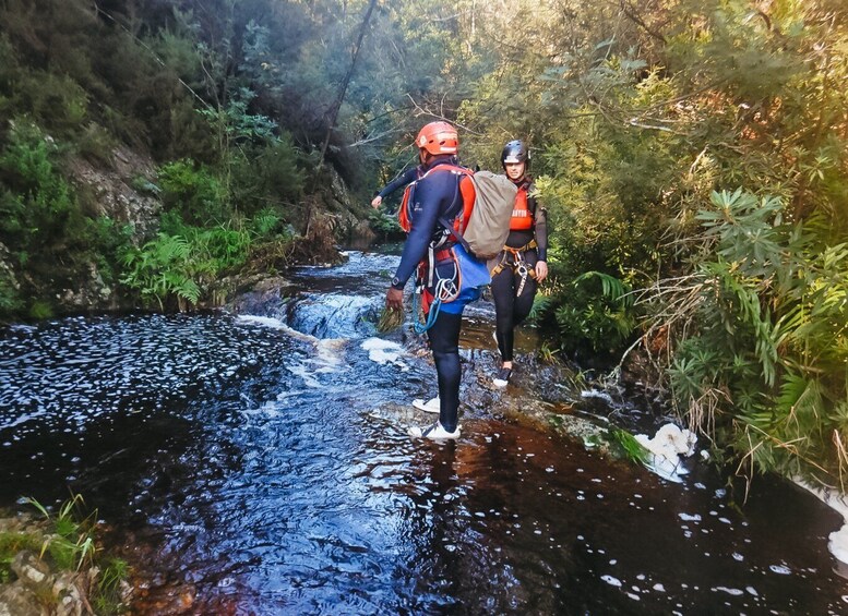 Picture 8 for Activity Plettenberg Bay: Canyoning Trip