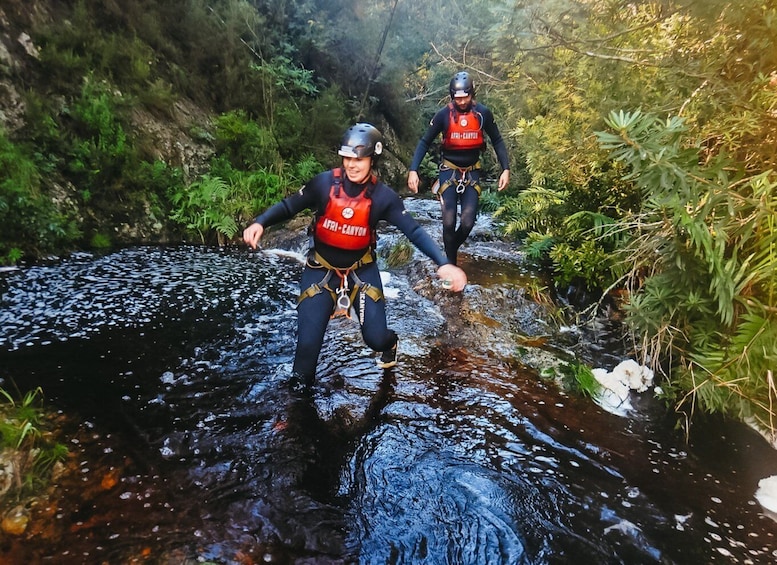 Picture 9 for Activity Plettenberg Bay: Canyoning Trip