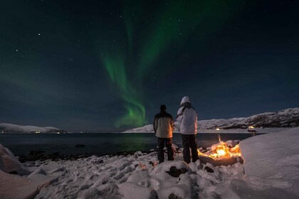 Tromsø Northern lights - private group tour with local guide