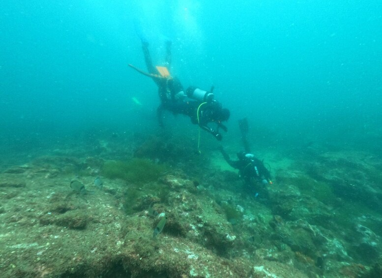 Picture 10 for Activity Albufeira: Scuba Diving Experience for Beginners