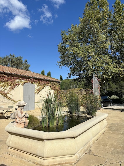 Picture 1 for Activity Luberon: Full-Day Wine Tour from Marseille