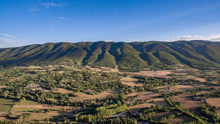 Luberon: Full-Day Wine Tour from Marseille