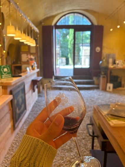 Picture 2 for Activity Luberon: Full-Day Wine Tour from Marseille