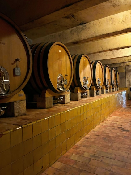 Picture 3 for Activity Luberon: Full-Day Wine Tour from Marseille