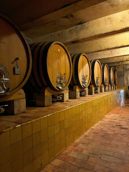 Picture 3 for Activity Luberon: Full-Day Wine Tour from Marseille