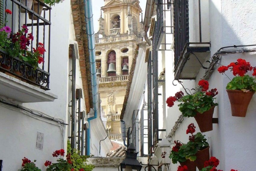 Picture 6 for Activity From Seville: Córdoba and Mosque Cathedral Full-Day Tour