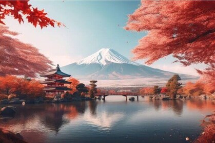 One day mountain Fuji & Hakone tour with English hindi bilingual