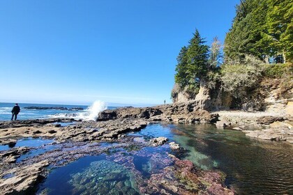 2 Day Private Adventure Tour & Glamping on Vancouver Island