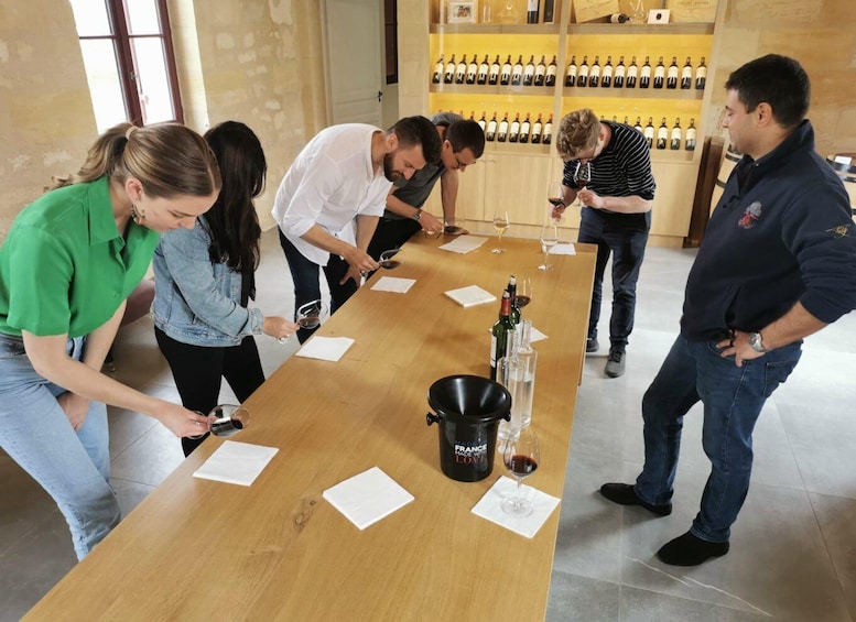 Picture 3 for Activity From Bordeaux: Saint-Emilion Guided Wine Tasting Tour