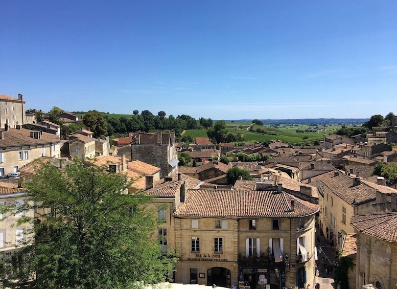 Picture 6 for Activity From Bordeaux: Saint-Emilion Guided Wine Tasting Tour